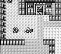 une photo d'Ã©cran de Harvest Moon GB sur Nintendo Game Boy